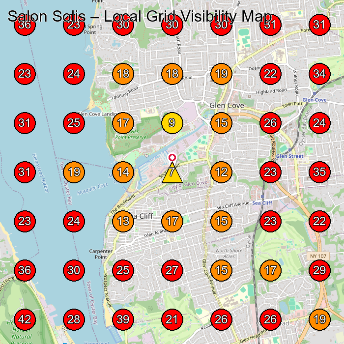 Salon Solis GeoGrid visibility map for Hair Salon in Glen Cove